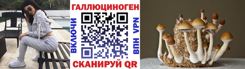 купить наркотики цена  Нея  Галлюциногенные грибы Psilocybine cubensis 