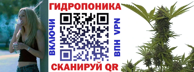Конопля OG Kush  купить закладку  Нея 